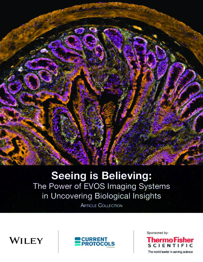 PDF Cover